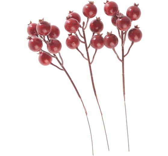 Rosehip bunch, Red