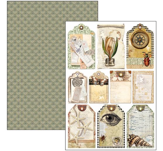 Papier set "Cabinet of Curiosities"