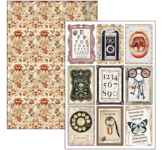 Papier set "Cabinet of Curiosities"