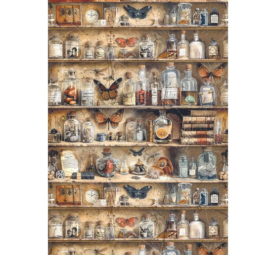 Assortiment de soies de paille à motifs "Carbinet of Curiosities", set de 8 pièces