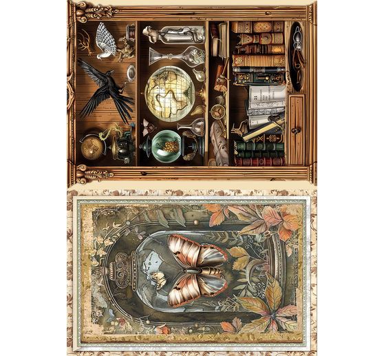 Assortiment de soies de paille à motifs "Carbinet of Curiosities", set de 8 pièces