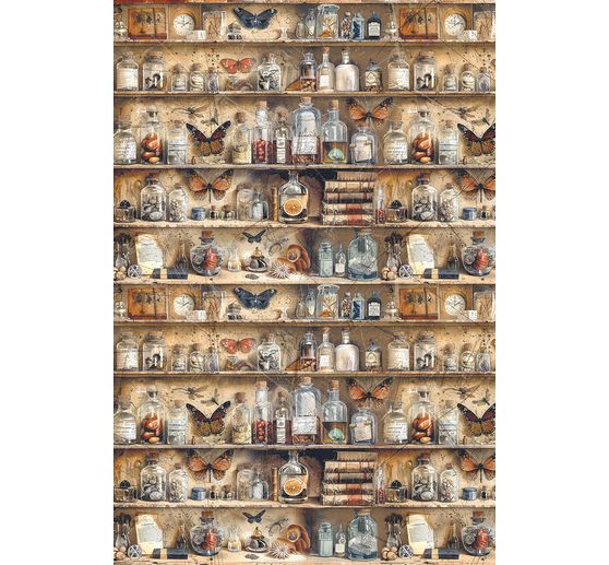 Motiv-Strohseiden-Sortiment "Cabinet of Curiosities", 4er-Set