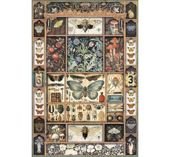 Motiv-Strohseiden-Sortiment "Cabinet of Curiosities", 4er-Set