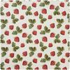 Tissu coton au mètre « Fraises », acrylique enduits
