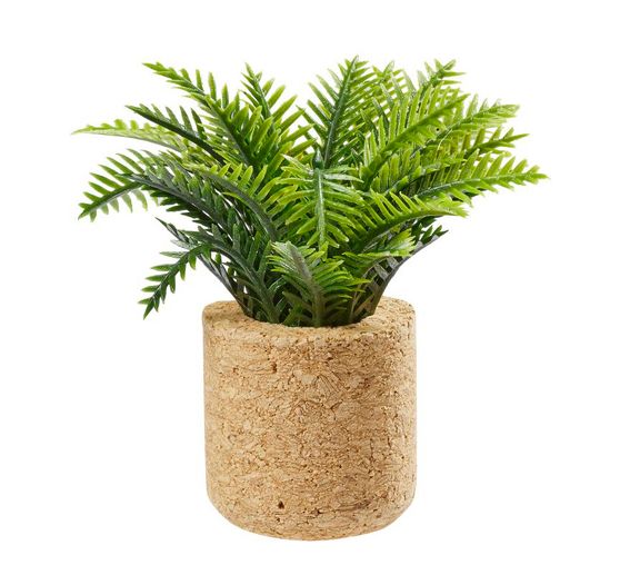 Set miniature « Plantes d'intérieur »