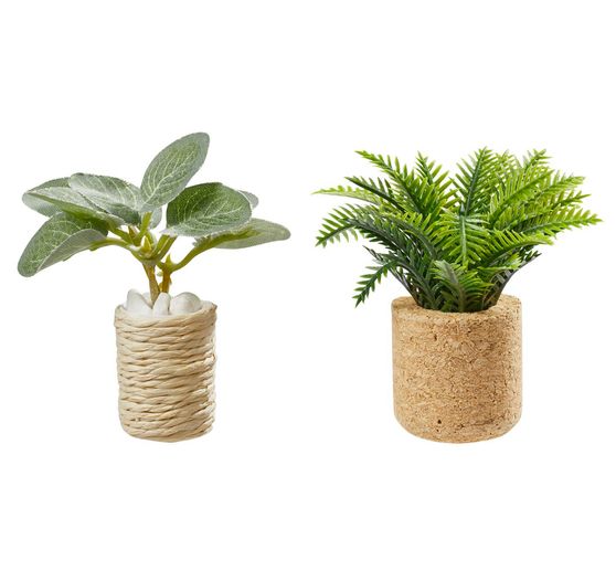 Set miniature « Plantes d'intérieur »