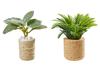 Miniature set "Houseplants"