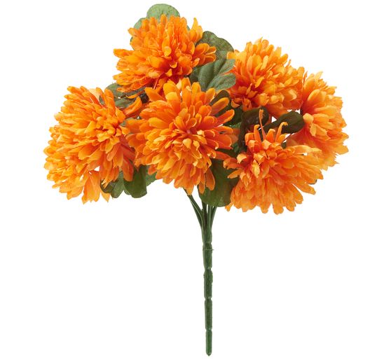 Chrysantentros "Lola"