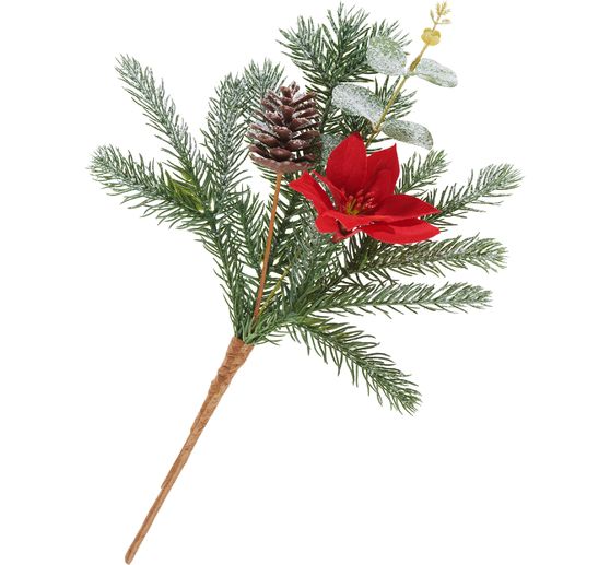 Kerstboom pluk "Gloria"