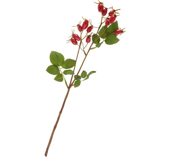 Rosedog branch