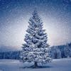 Servet "Magic Tree"