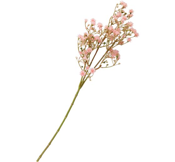 Witlooftak "Evergreen"