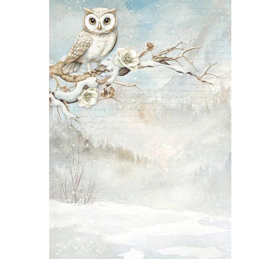 Motief strozijde achtergronden "The Owl's House"