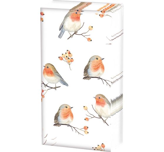 Mouchoirs en papier « Robin Family »
