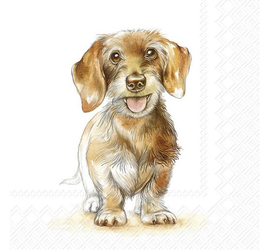 Napkin "Fritz"