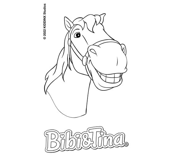 edding 1200 COLOR PEN « Bibi & Tina »