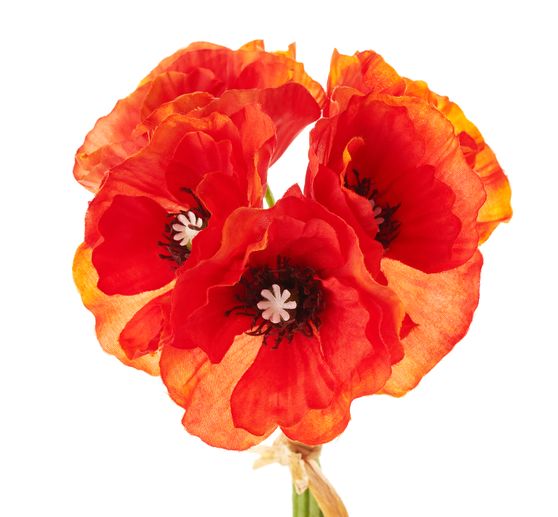 Bouquet de coquelicots, orange