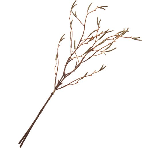 Bouquet de branches de bouleau