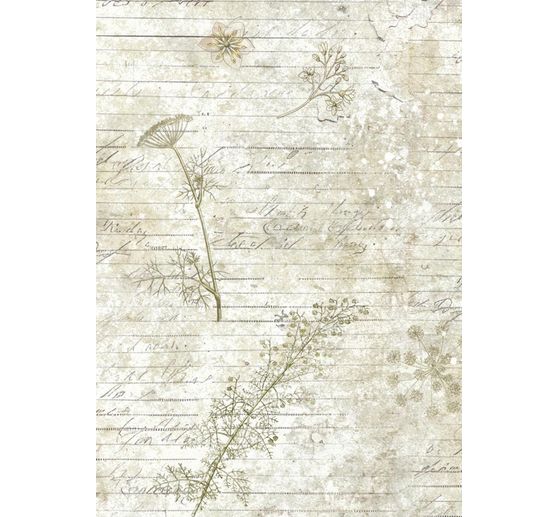 Soie de paille à motifs backgrounds « Herbarium Silvae », set de 8 pièces