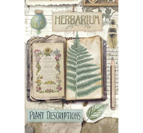Motiv-Strohseiden Sortiment "Herbarium Silvae", 8er Set