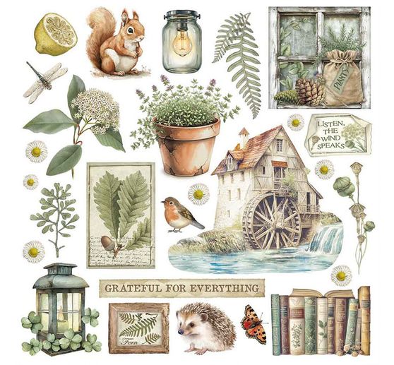 Rub On assortiment "Herbarium Silvae"