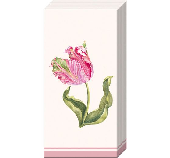 Papieren zakdoeken "Driselle