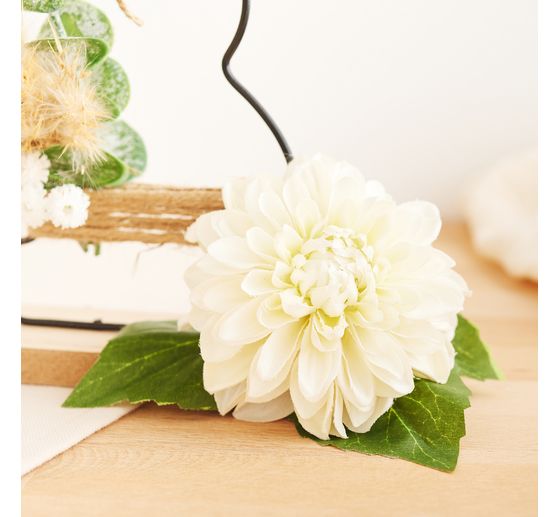 Eukalyptus-Pick "Cynerea"