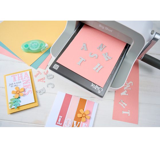 Gabarit d&rsquo;estampe Sizzix Thinlits &laquo; Friendly Florals &raquo;