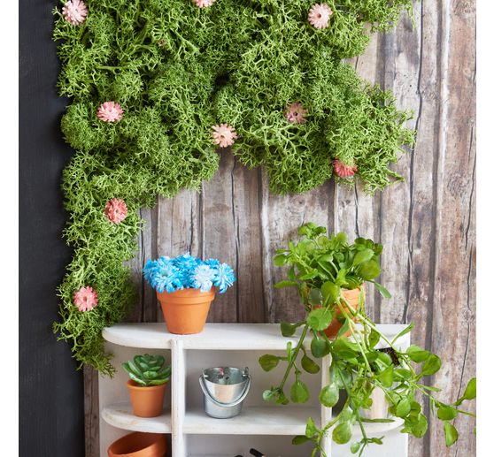 VBS Gypsophila bunch "Florissa"