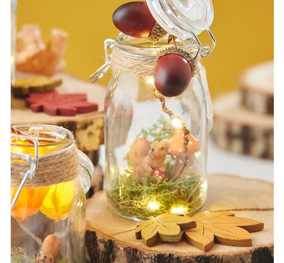 Physalis tak, 6 lampionbloemen