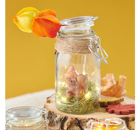 Physalis tak, 6 lampionbloemen