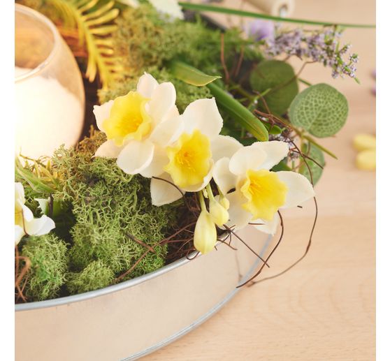 Daffodil bunch "Yellow / White"