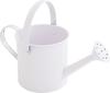 Small zinc watering can