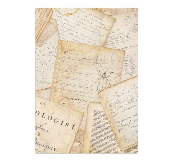 Junk Journal Book "All Around"