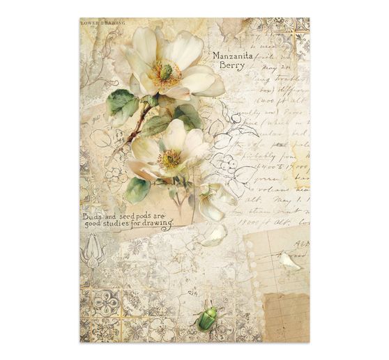Junk Journal Book "All Around"