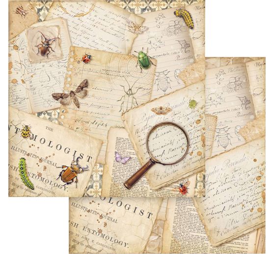 Scrapbook blok "All Around"