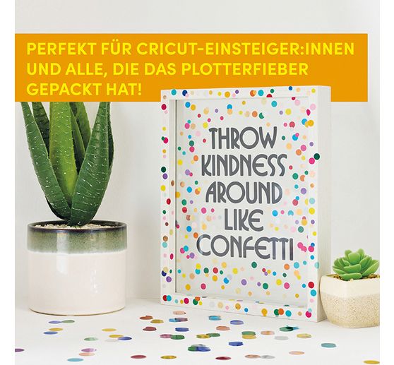 Buch "Cricut DIYs"