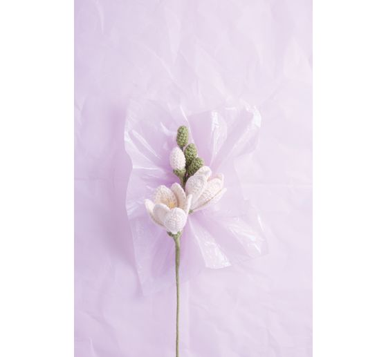 Livre &laquo; Romantische Blumen h&auml;keln &raquo;