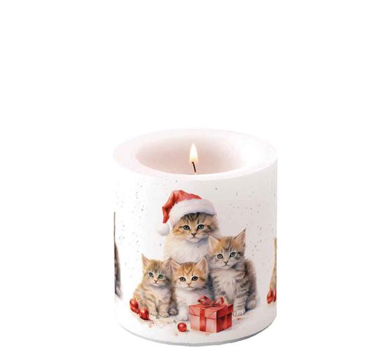 Papiertaschent&uuml;cher "Weihnachtskatzen"