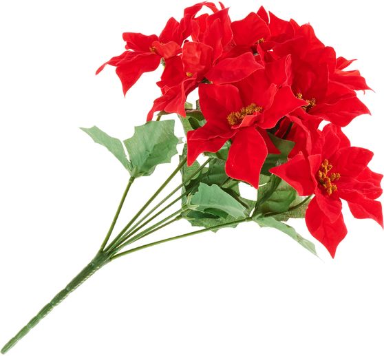 Kerstster tak met 9 bloemen