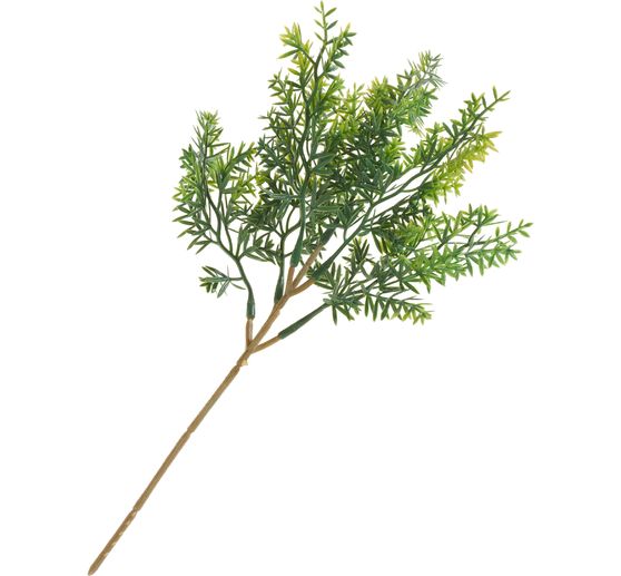 Bladertak "Thymus&ldquo;