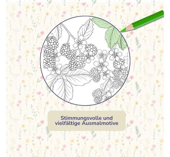 Buch "Colorful World - Bl&uuml;tentanz"