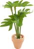 Miniatuurplant "Monstera"