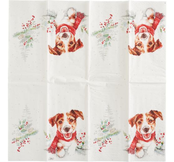 Papiertaschent&uuml;cher "Louie"