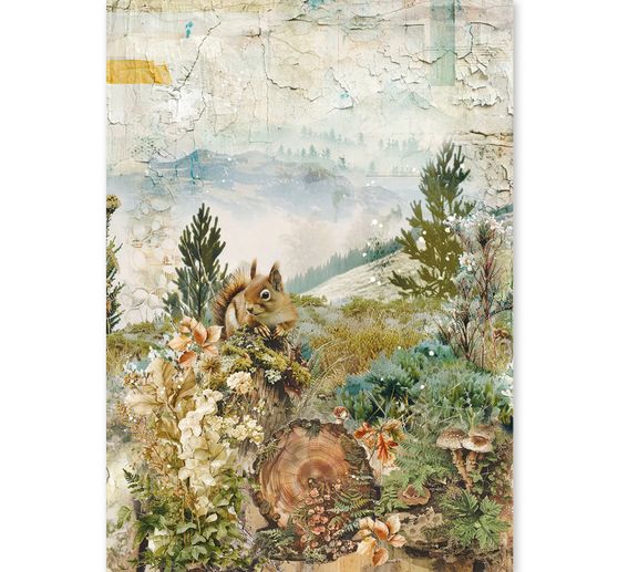 Assortiment de soies de paille &agrave; motifs Ciao Bella &laquo; The Nature Journal &raquo;, set de 8 pi&egrave;ces