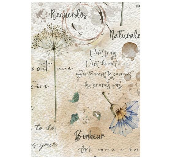 Assortiment de soies de paille &agrave; motifs Stamperia &laquo; Flowers and Poems &raquo;, DIN A6, set de 8 pi&egrave;ces