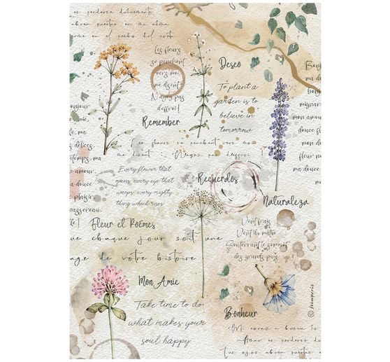 Stamperia Motief strozijde assortiment "Flowers and Poems", DIN A4, set van 6
