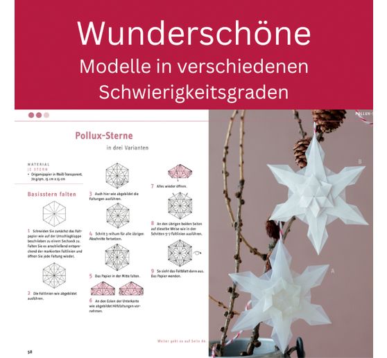 Livre &laquo; Zarte Origamisterne (kreativ.kompakt.) &raquo;