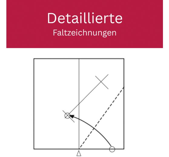 Livre &laquo; Zarte Origamisterne (kreativ.kompakt.) &raquo;