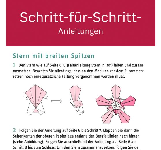 Livre &laquo; Zarte Origamisterne (kreativ.kompakt.) &raquo;